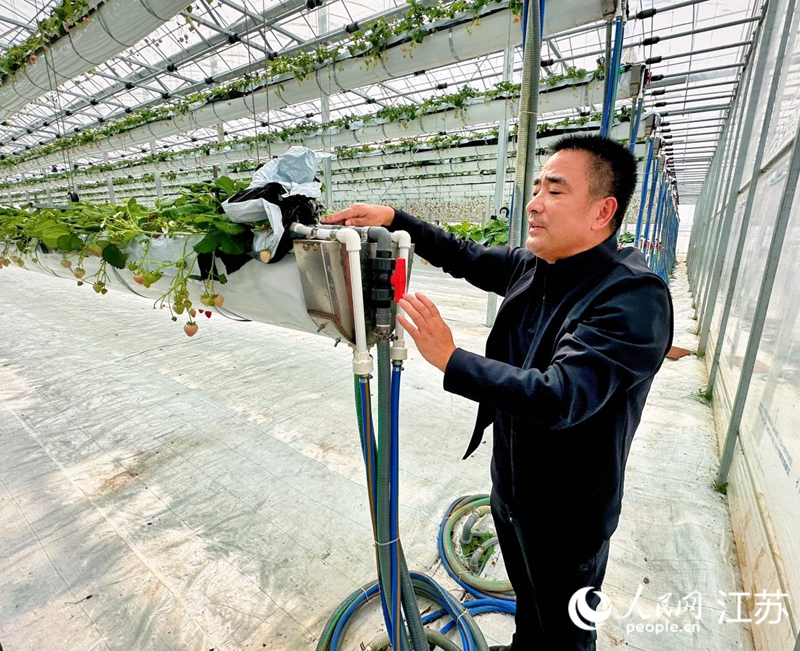 農(nóng)技人員檢查水肥、暖氣一體化供應(yīng)管道。人民網(wǎng) 周夢嬌攝