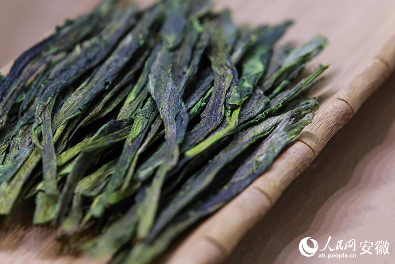 中國十大名茶——太平猴魁。人民網(wǎng)記者 張俊攝