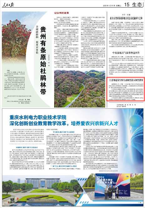 《人民日報》2025年4月15日15版 版面截圖