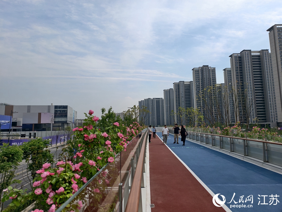 公園空中廊橋兩側(cè)花開正艷。人民網(wǎng)記者 馬曉波攝