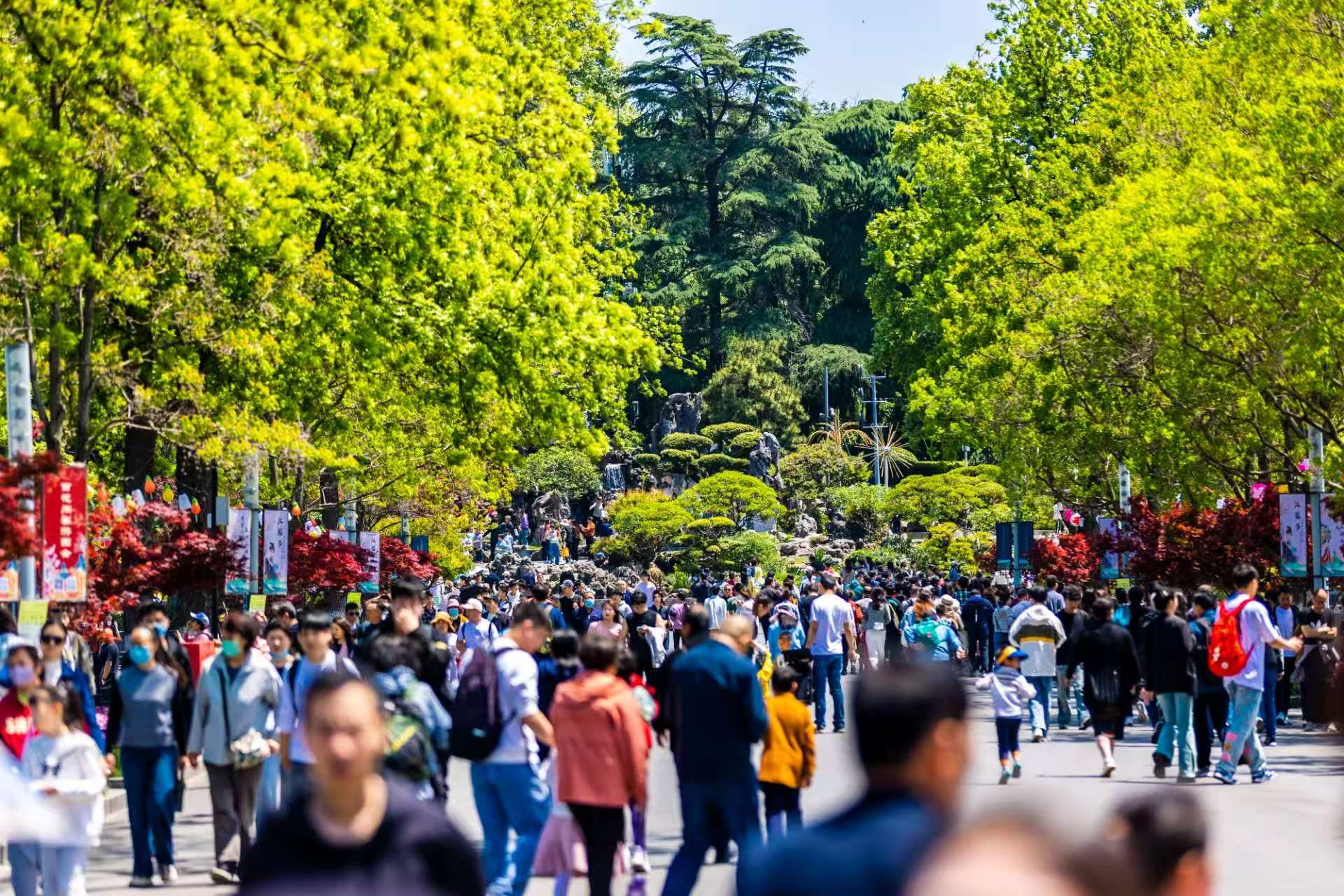 玄武湖公園游人如織。常成攝