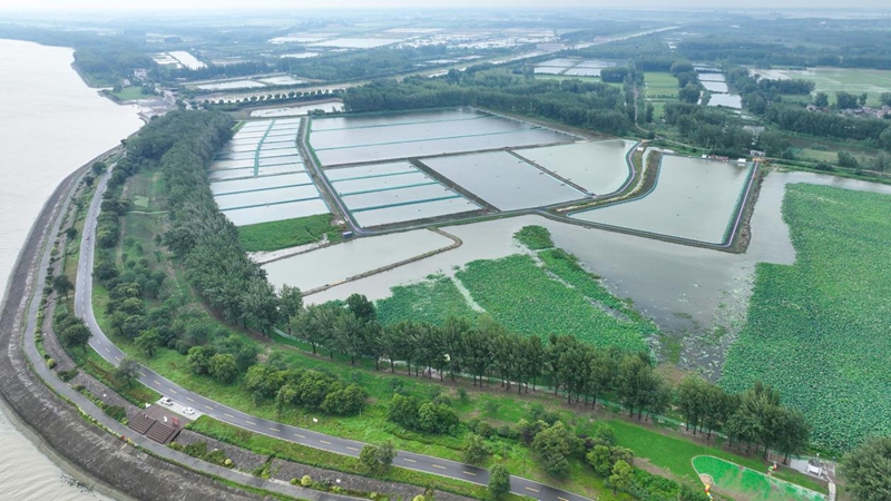 蔣壩鎮(zhèn)頭河村螺螄產(chǎn)業(yè)示范基地。駱兵攝