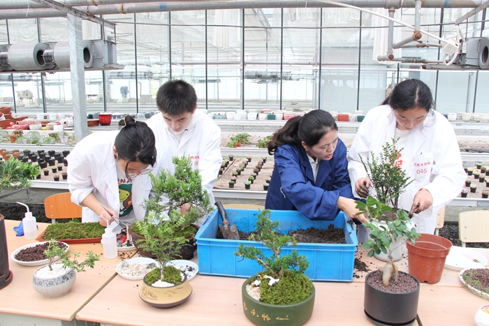 溧水特?；貎?nèi)，老師指導(dǎo)學(xué)生養(yǎng)護(hù)盆栽。校方供圖