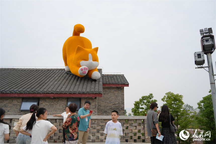 橘貓趴在屋頂憨態(tài)可掬。人民網(wǎng) 劉汕攝