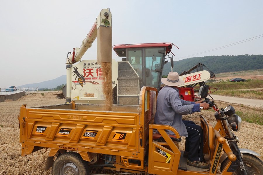 小麥收割現(xiàn)場。贛榆區(qū)委宣傳部供圖