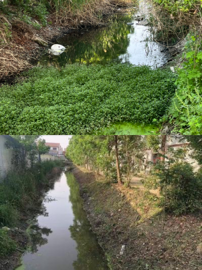 河道整治前后對比圖
