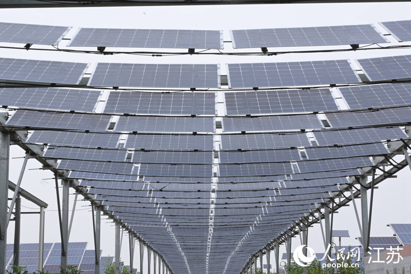 深能南京植物工廠走廊中，光伏板緊密排列。人民網(wǎng) 張瀚天攝