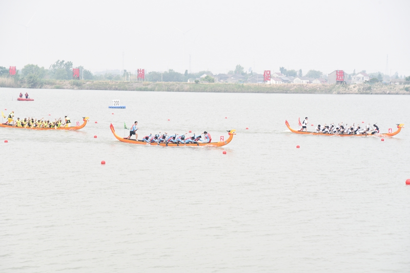 選手們奮力揮槳。魯磊攝