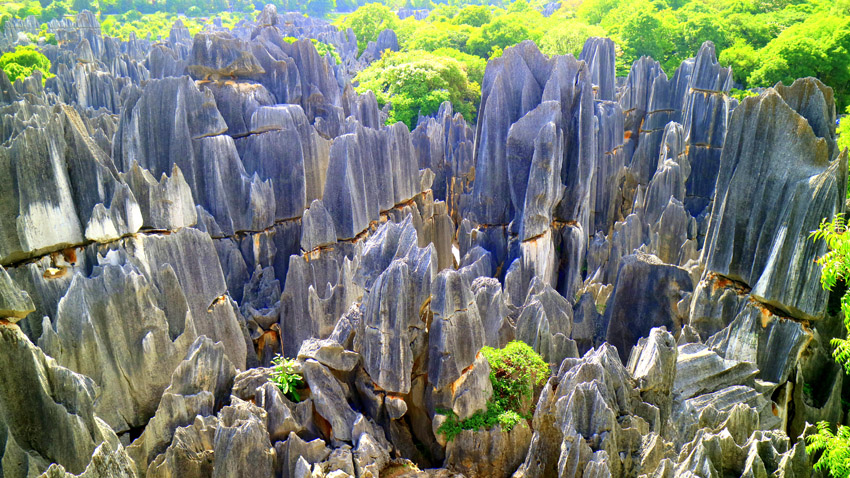 大石林。石林風景名勝區(qū)管理局供圖