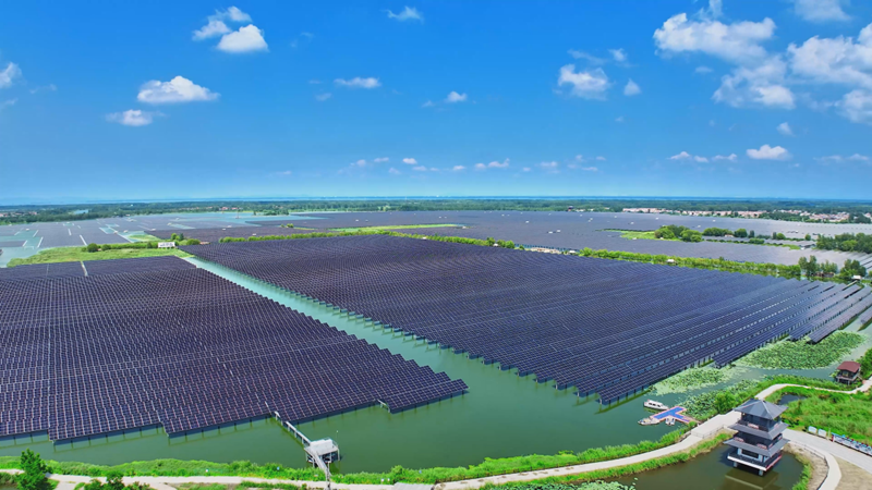 楊屯鎮(zhèn)漁光互補(bǔ)光伏電站。沛縣縣委宣傳部供圖