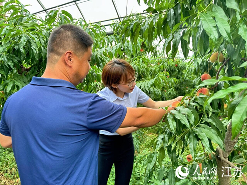 郵儲(chǔ)銀行工作人員與當(dāng)?shù)靥肄r(nóng)討論大棚改造。人民網(wǎng) 周夢(mèng)嬌攝