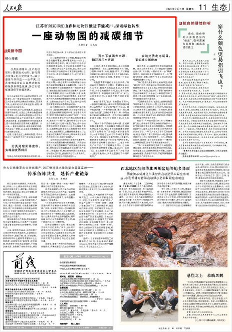 《人民日報》2025年7月4日11版 版面截圖