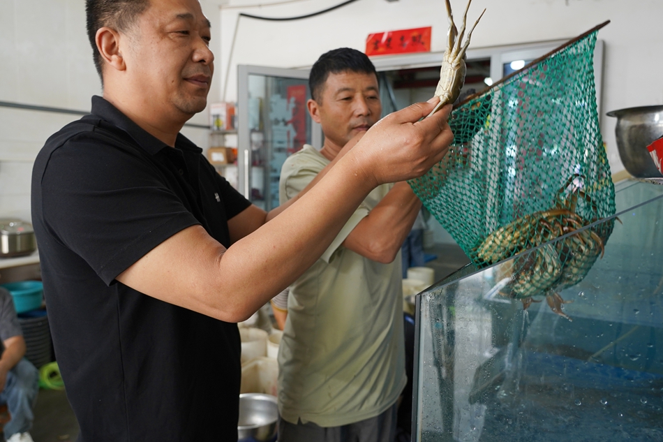 高淳區(qū)固城湖螃蟹市場(chǎng)“六月黃”進(jìn)入銷(xiāo)售旺季。張?chǎng)稳珨z