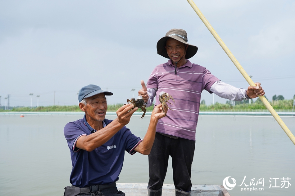 蟹農(nóng)展示捕撈出水的“六月黃”。人民網(wǎng) 王丹丹攝