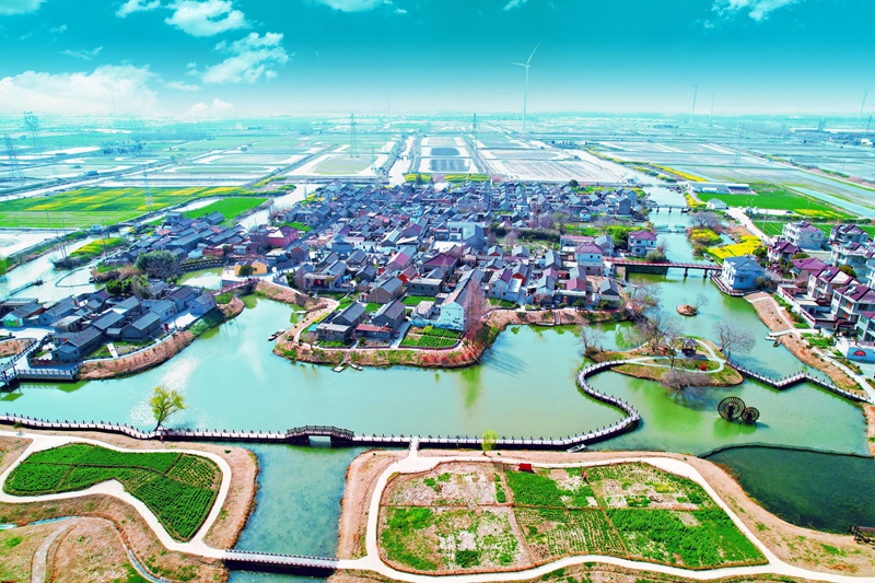 興化市昌榮鎮(zhèn)陳唐村。興化市委宣傳部供圖