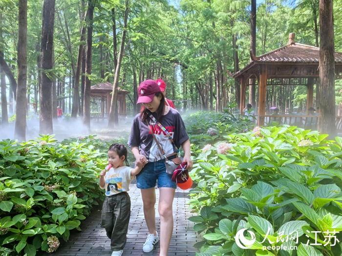 球迷游客在興化市李中水上森林景區(qū)游玩。人民網(wǎng) 王丹丹攝