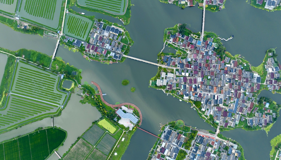 水網(wǎng)密布的劉澤村。史道智攝