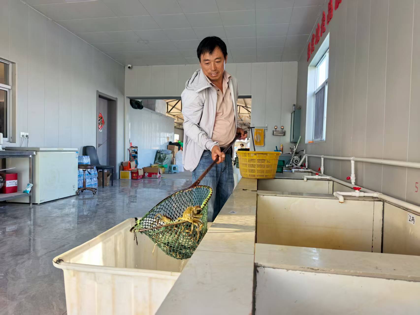 宋成伍將新上市的“六月黃”裝箱。孫蓀攝