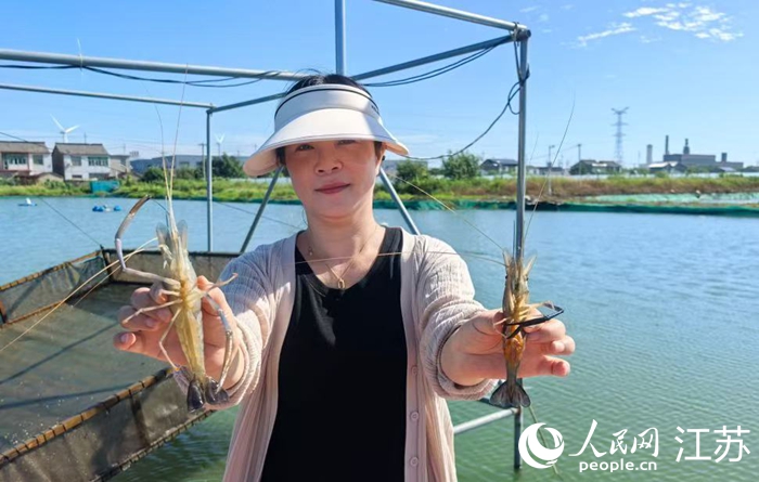 新鮮捕撈的高郵大蝦。人民網(wǎng) 杜沁萌攝