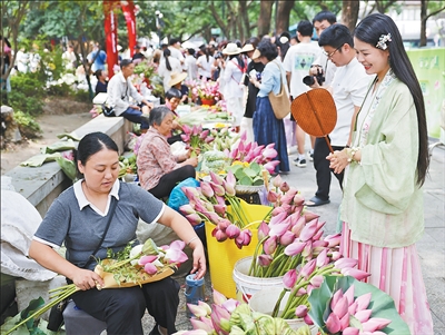 圖為市民游客在市集選購荷花。蘇州日報記者 倪黎祥攝