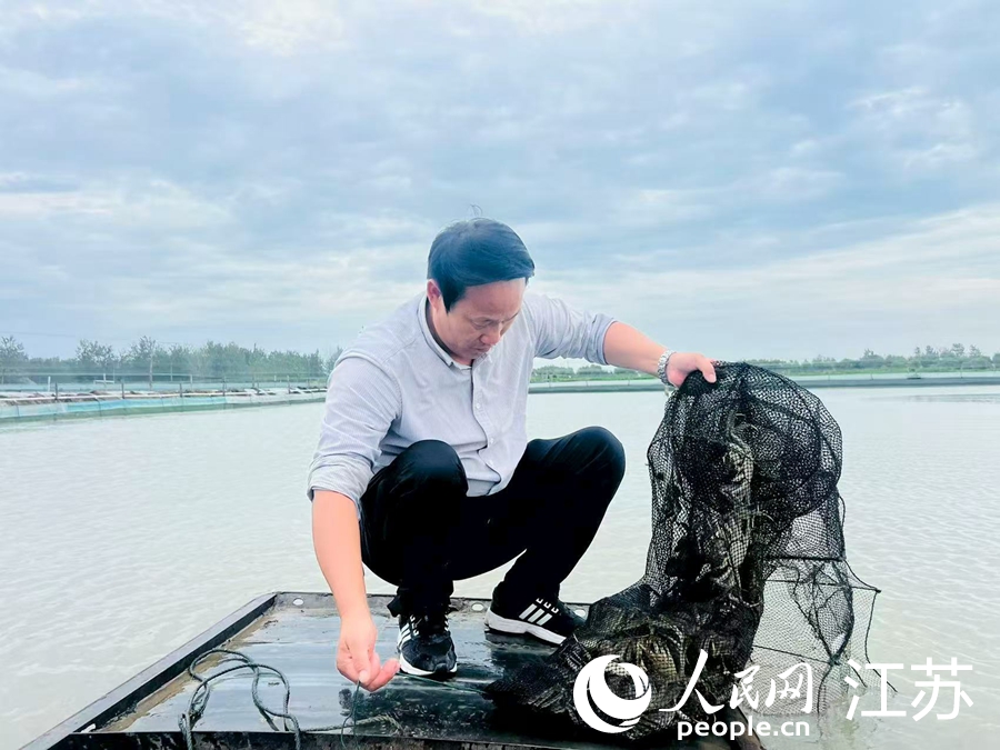 段廣玉正在拉網(wǎng)起蟹。人民網(wǎng) 李欣陽攝