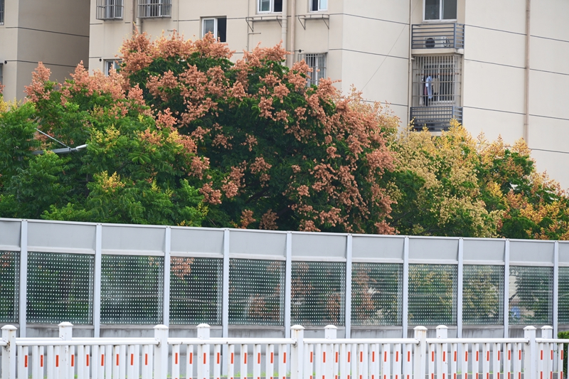 防鳥撞安裝貼紙已安裝完畢。留言人供圖