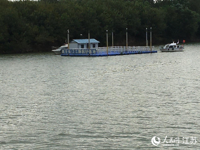 建在新濟(jì)洲上的南京長江江豚救護(hù)基地。人民網(wǎng) 俞楊攝