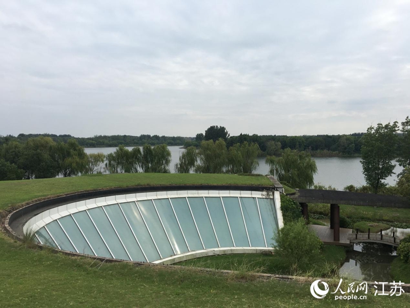 初秋的南京長江新濟(jì)洲國家濕地公園。人民網(wǎng) 俞楊攝