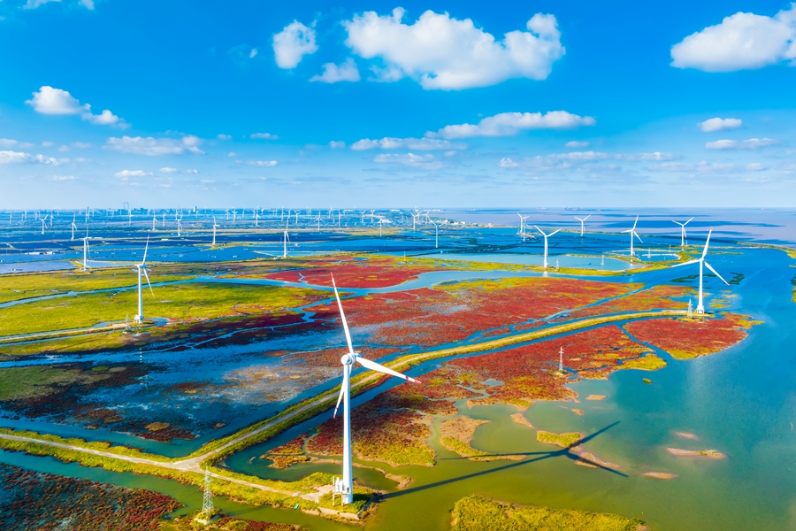 鹽城濕地風光。孫華金攝