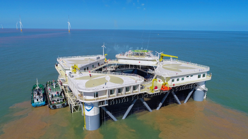 “陶灣1號”海洋牧場。陳其龍攝