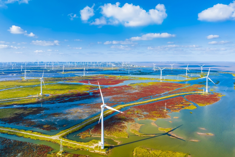 鹽城濱海濕地風光無限。孫華金攝
