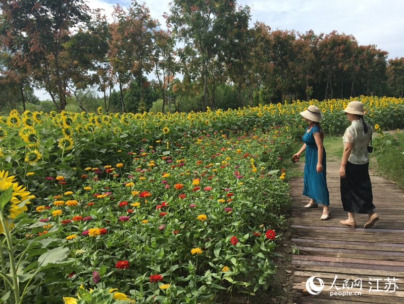 市民在南通五山國家森林公園賞花。人民網(wǎng)記者 俞楊攝