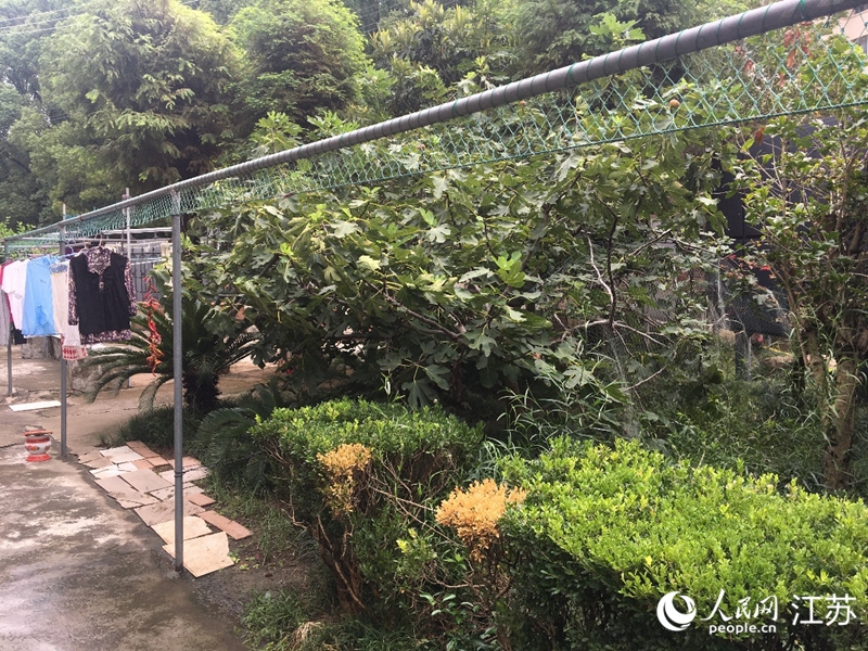 上岸漁民的漁網(wǎng)有了新用處。人民網(wǎng)記者 俞楊攝