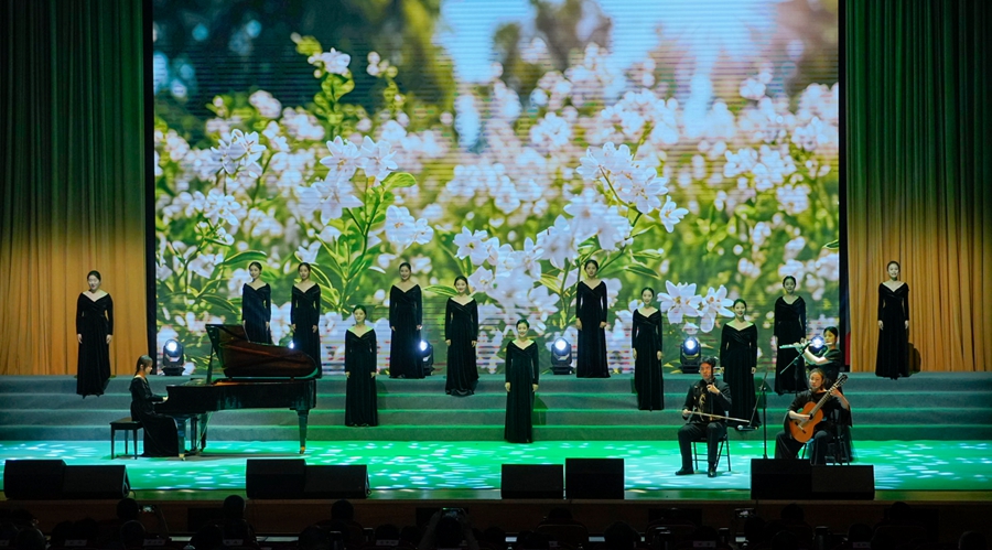 演出現(xiàn)場。溧水區(qū)委宣傳部供圖