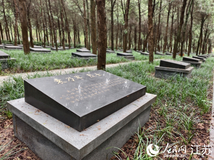 泗洪縣烈士陵園烈士墓區(qū)。人民網(wǎng)記者 馬曉波攝