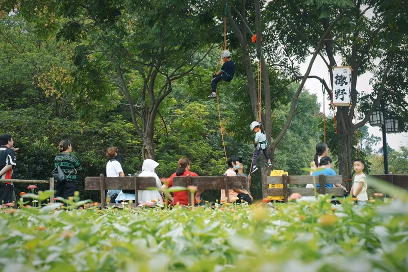 來南京不老村，解鎖國慶假期的N種氛圍感【5】