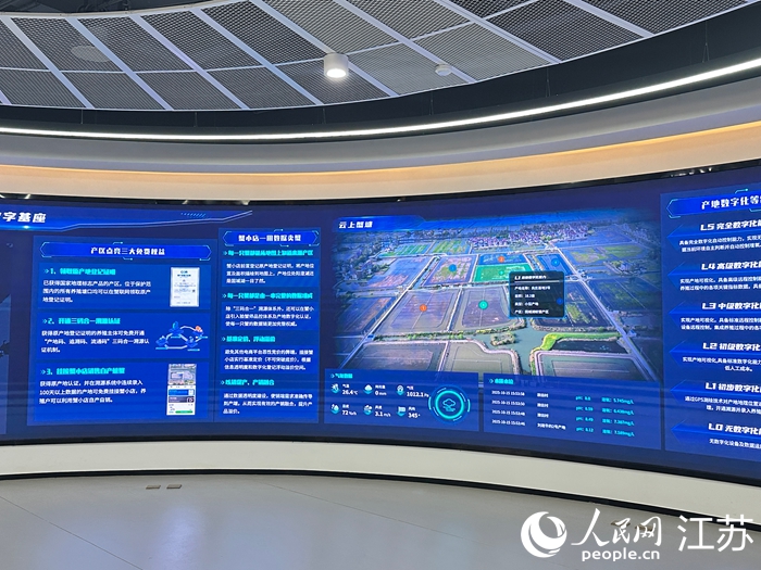 固城湖水產(chǎn)交易市場的“云上蟹塘”平臺。人民網(wǎng) 王純攝