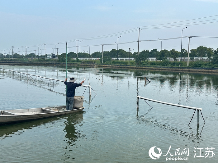 采訪團參觀高淳河蟹氣象風(fēng)險減量研究試驗塘。人民網(wǎng) 王純攝