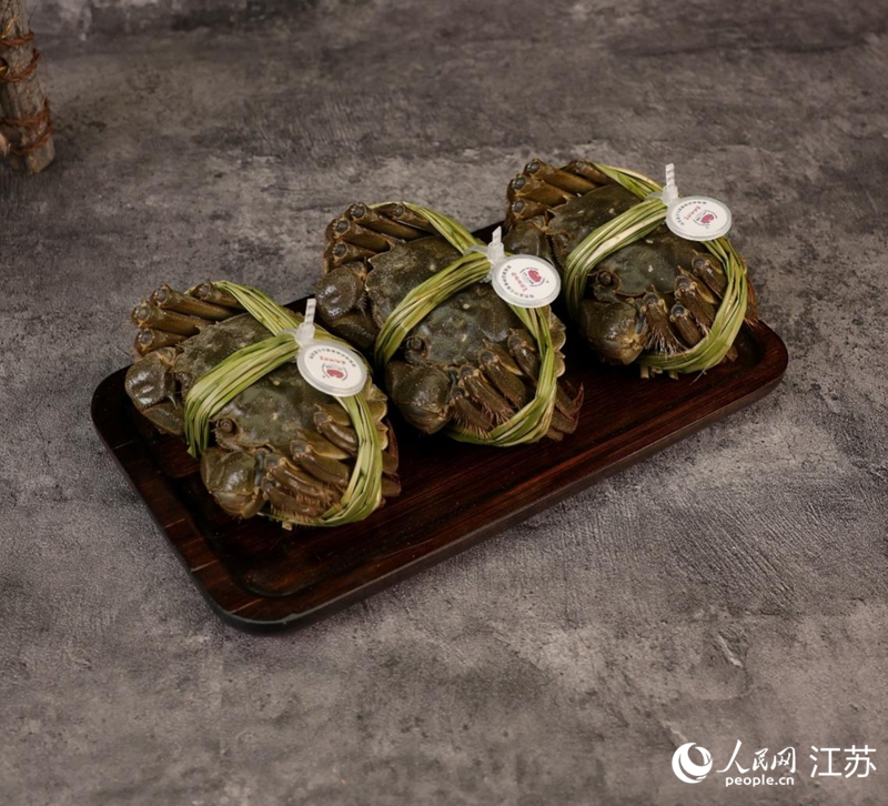 綁好溯源卡扣的固城湖螃蟹。人民網(wǎng)記者 王丹丹攝