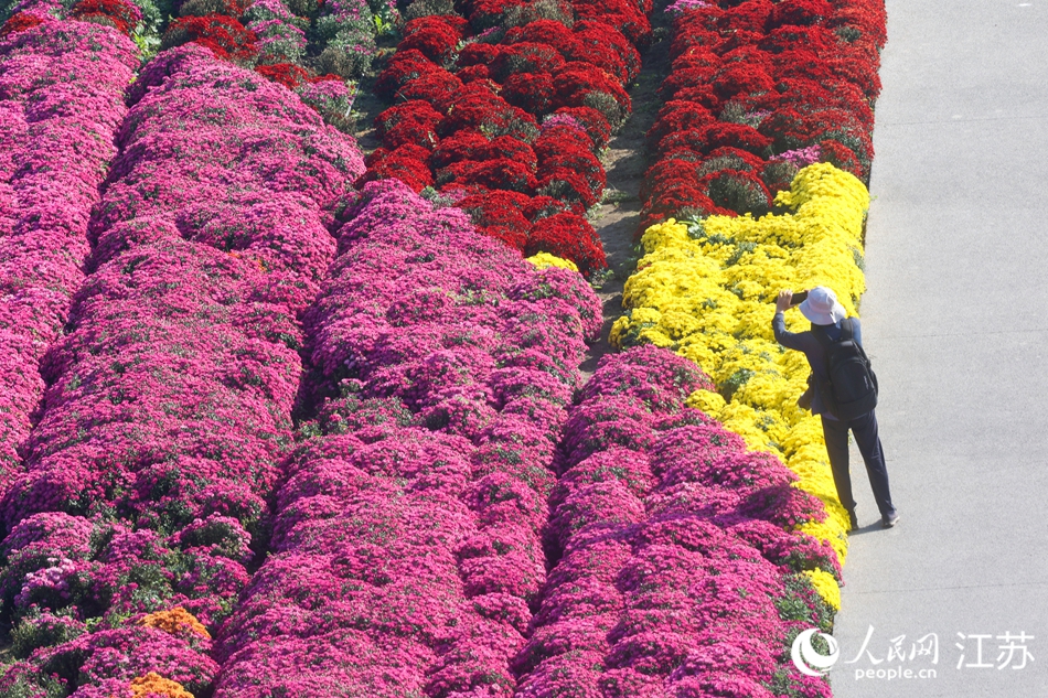 游客在景區(qū)內(nèi)打卡拍照。人民網(wǎng)記者 王丹丹攝