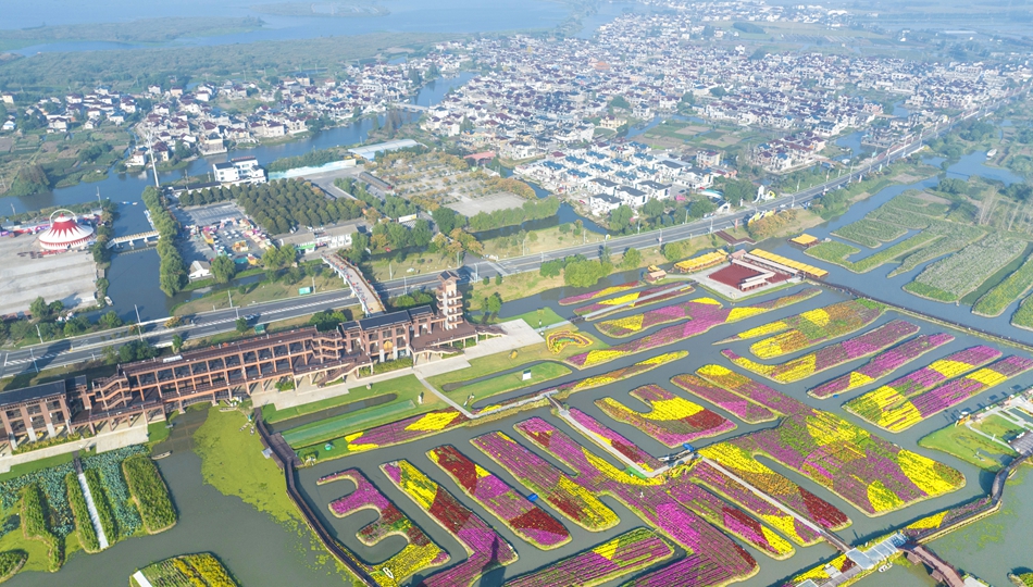 航拍秋日里的垛田景區(qū)與村莊。史道智攝