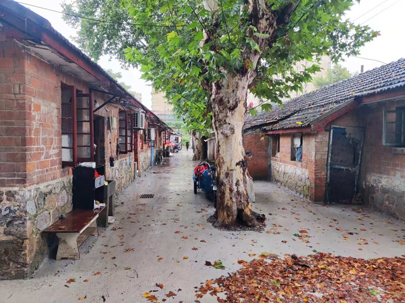 出新后的建設(shè)村。頂山街道供圖