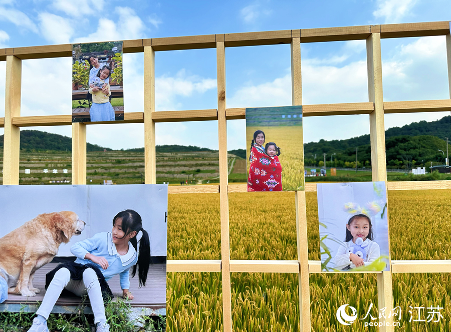 一幅幅影像定格稻香時(shí)節(jié)的田園牧歌。人民網(wǎng)記者 周夢(mèng)嬌攝