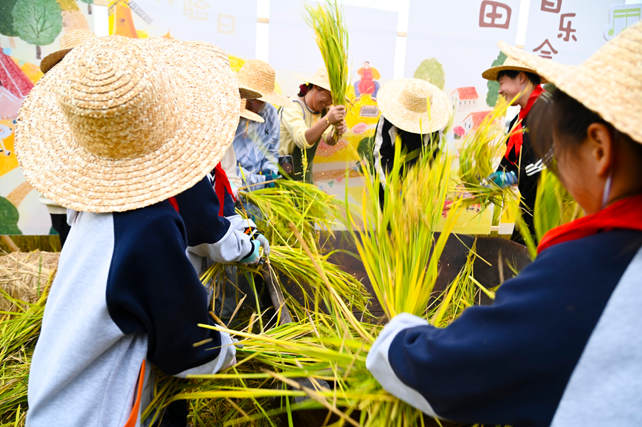 學(xué)生們現(xiàn)場體驗(yàn)傳統(tǒng)農(nóng)業(yè)生產(chǎn)。濱湖區(qū)委宣傳部供圖