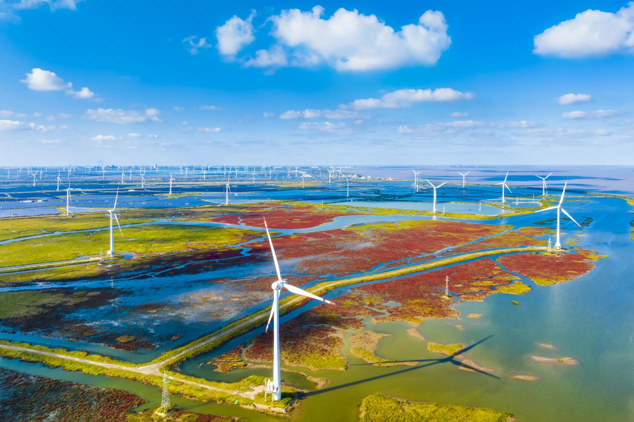 鹽城濱海濕地上的風(fēng)力發(fā)電機(jī)組。孫華金攝