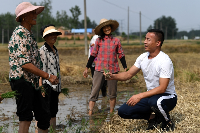 “三夏”時(shí)節(jié)戴虎在田間與村民們交流。受訪(fǎng)者供圖