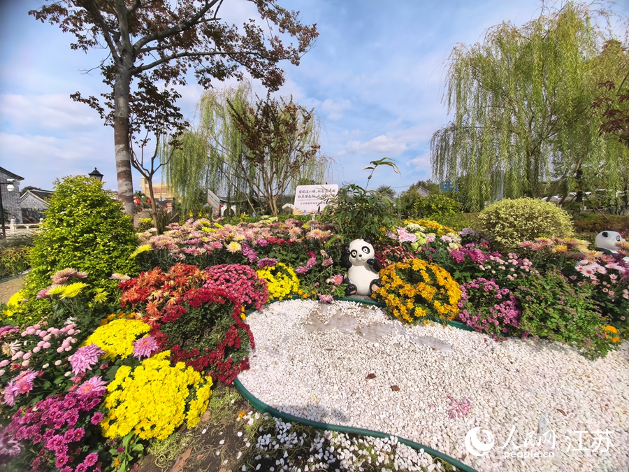 唐閘古鎮(zhèn)花卉市集一景。人民網(wǎng)記者 王繼亮攝