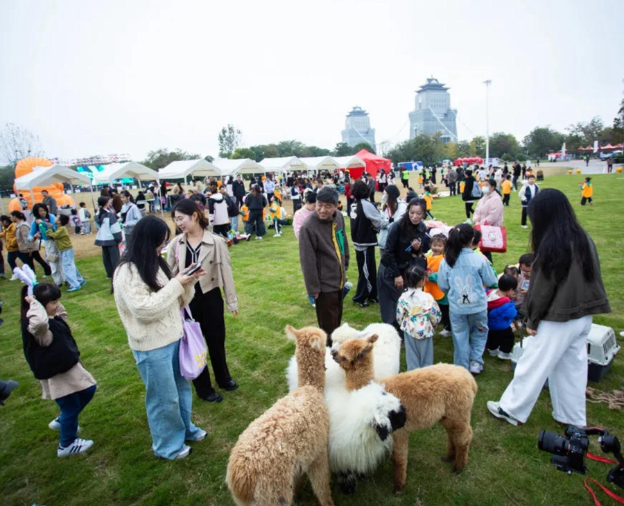 音樂嘉年華活動現(xiàn)場。揚州生態(tài)科技新城供圖