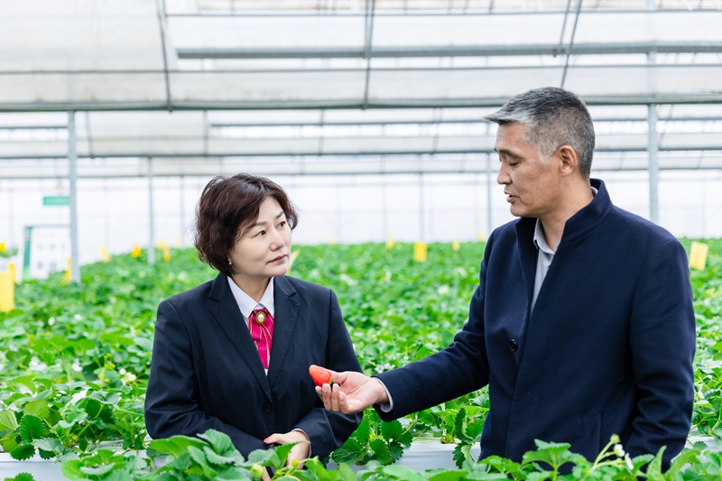 江南農(nóng)商行走訪當(dāng)?shù)剞r(nóng)戶。江南農(nóng)商行供圖