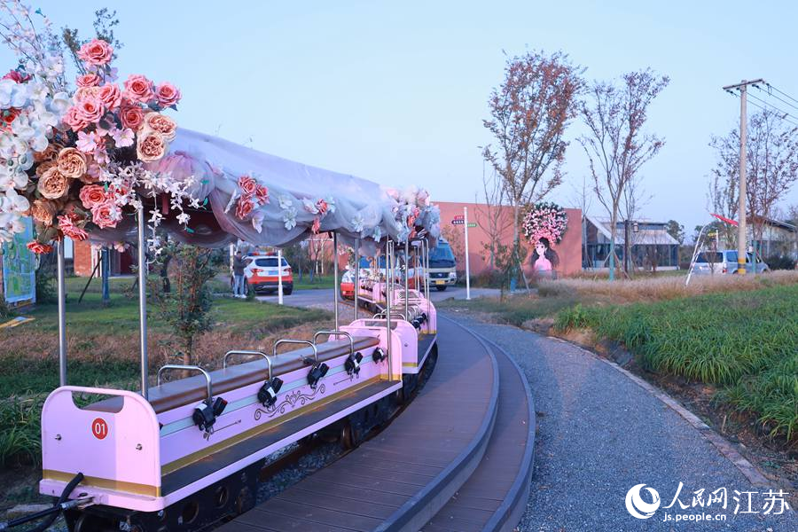 洪澤湖東岸特色田園鄉(xiāng)村張莊村。人民網(wǎng) 崔小倩攝